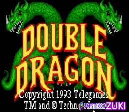 Double Dragon image