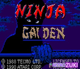 Ninja Gaiden image