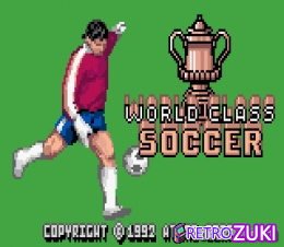 World Class Soccer image