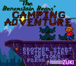 Berenstain Bears - Camping Adventure image