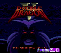 Double Dragon V - The Shadow Falls image