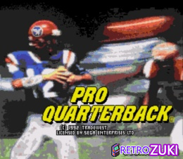 Pro Quarterback image