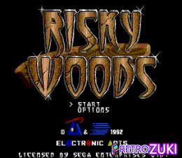 Risky Woods image