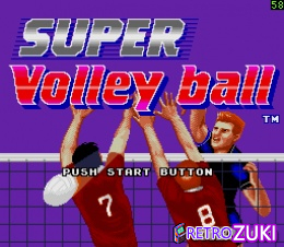 Super Volleyball image