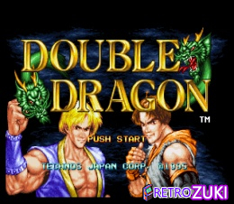 Double Dragon (Neo-Geo) image