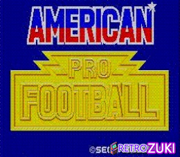 American Pro Football image