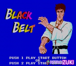 Black Belt image