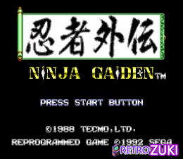 Ninja Gaiden image