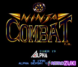 Ninja Combat image