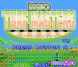 Neo Turf Masters image