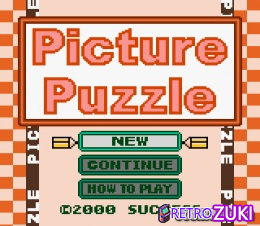Picture Puzzle image