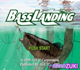 Bass Landing image